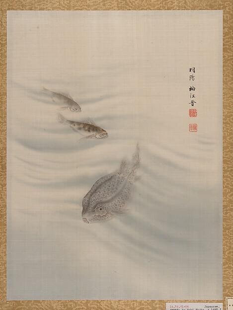魚