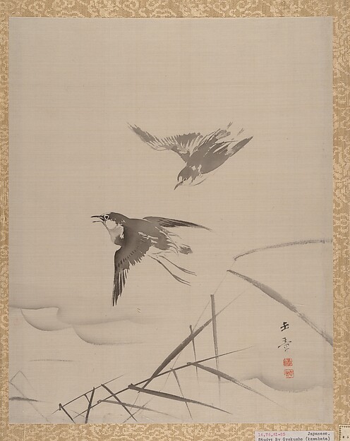 小鳥と竹