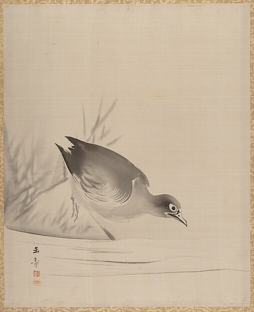 水辺の鳥