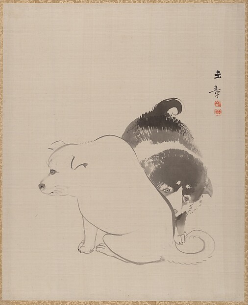 二匹の子犬