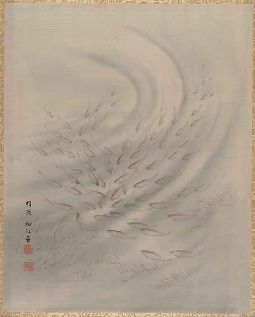 小魚