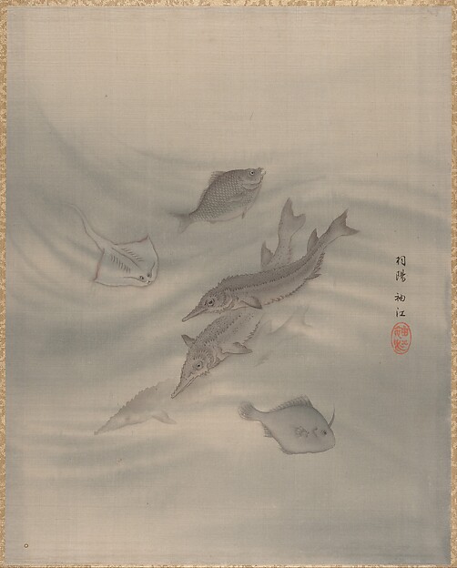 魚