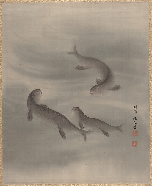 泳ぐカワウソ