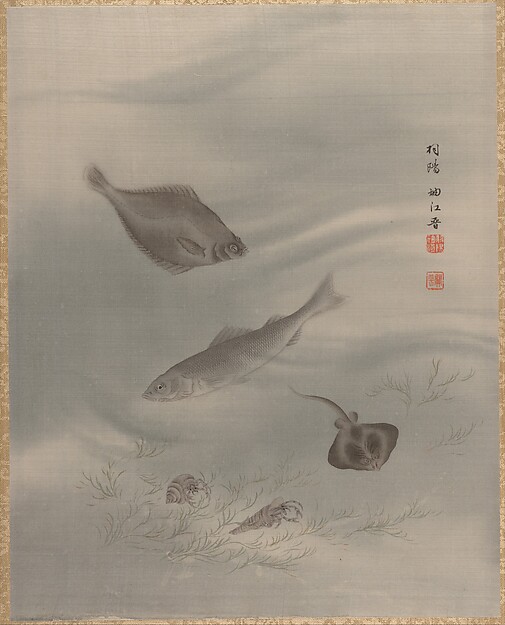 魚