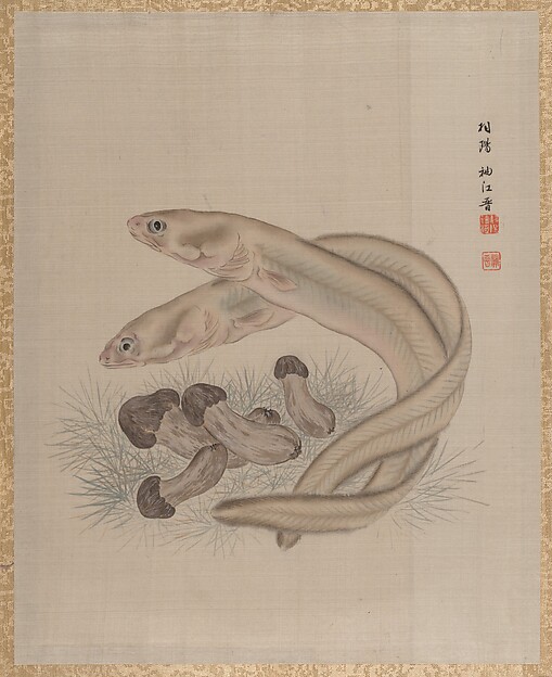 鰻