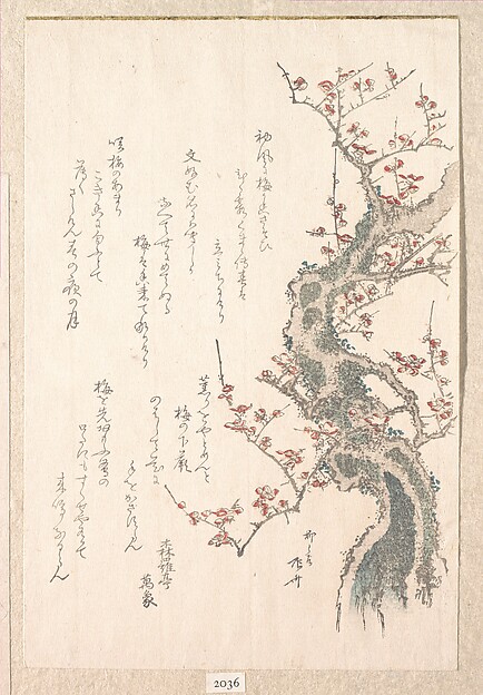 花盛りの梅の木(春雨集 第一より)