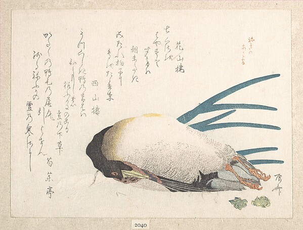 鴨と葱(春雨集 第一より)
