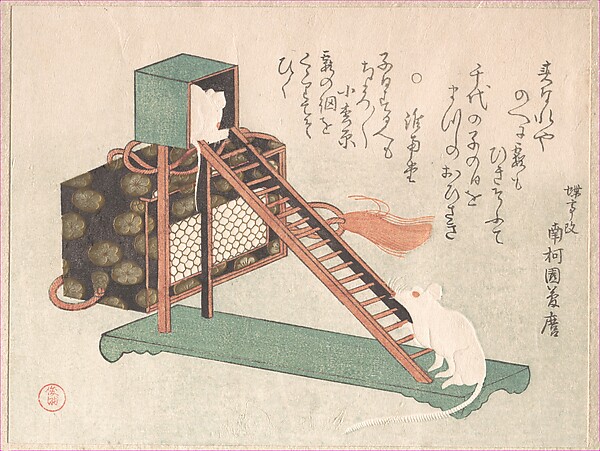 戯れる白鼠