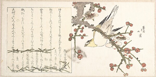 梅に鶯