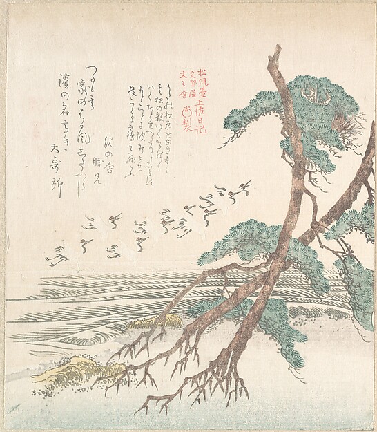 松と飛ぶ鶴のある海辺の風景