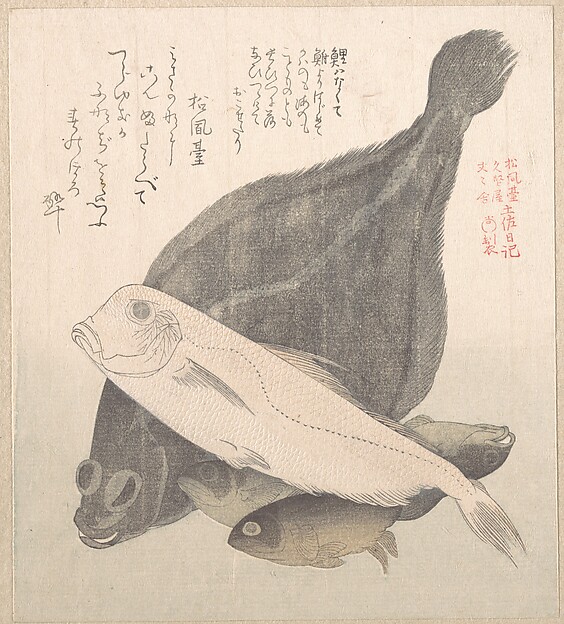 鰈とその他の魚