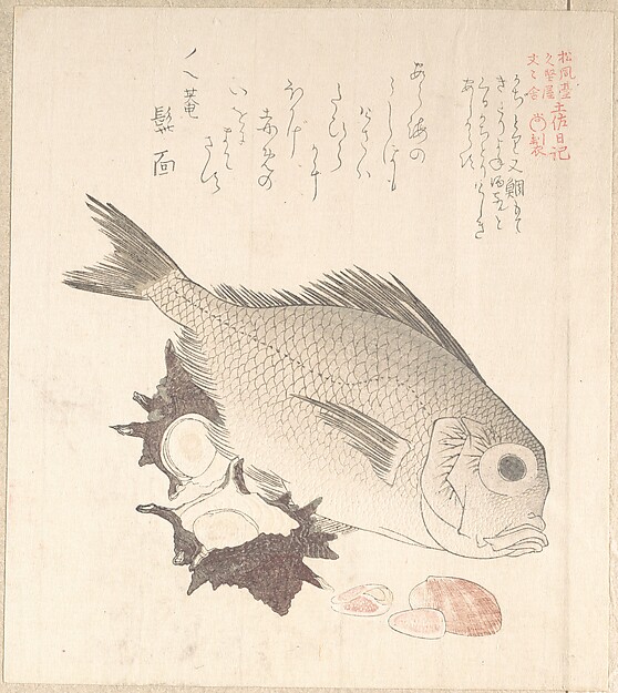 鯛と栄螺