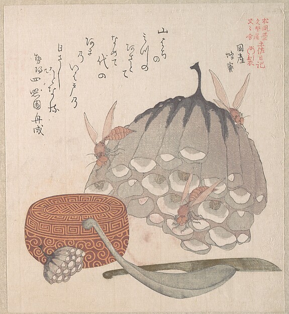 蜂の巣と蜂、蜜の匙の入った箱