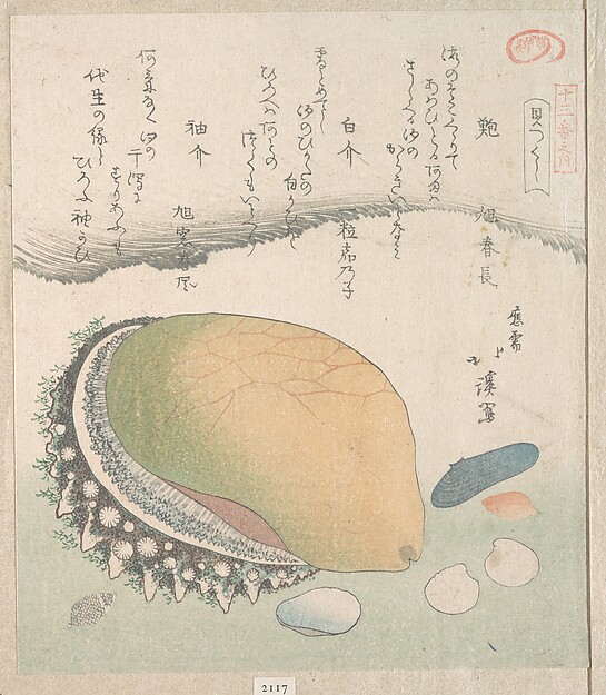 鮑とさまざまな貝
