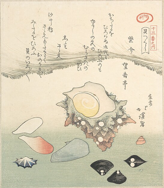 栄螺とさまざまな貝