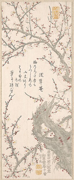 花咲く梅の木
