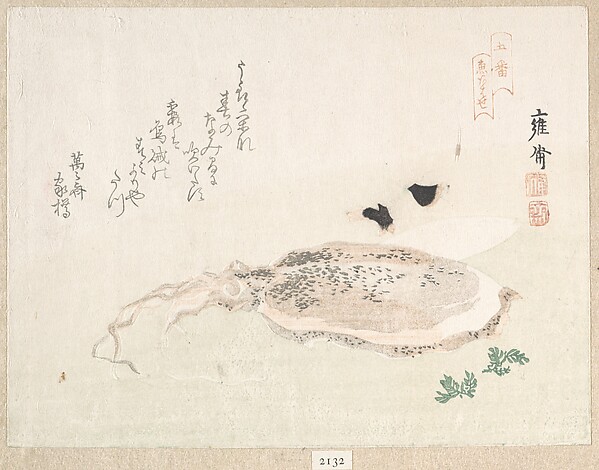 烏賊