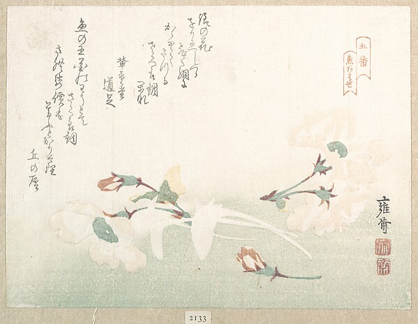 桜の花