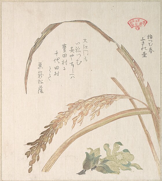稲と蕗