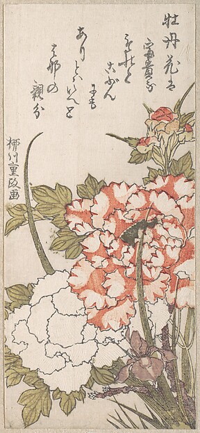 牡丹と菖蒲
