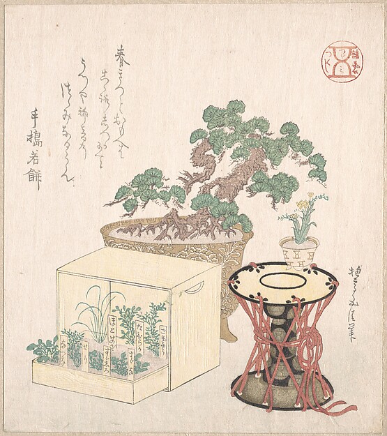 鉢植えの松、鼓、箱に植えた七草