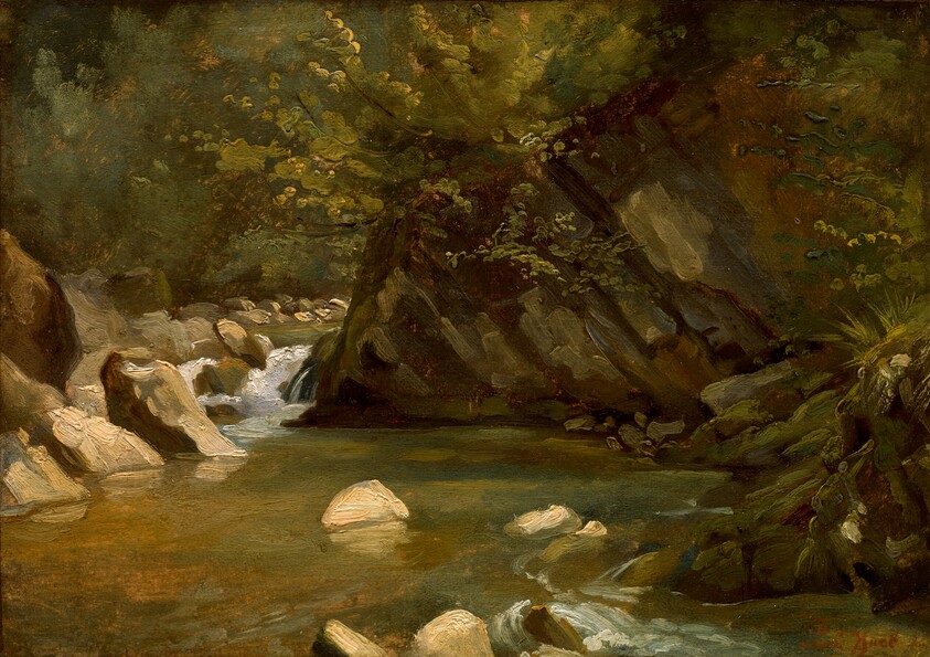 Woodland Stream