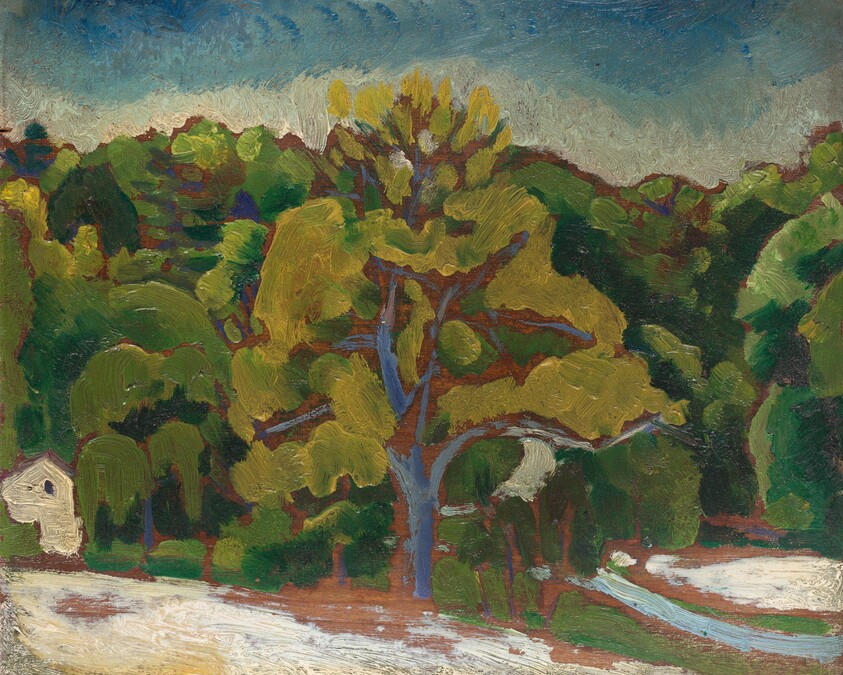 Landscape