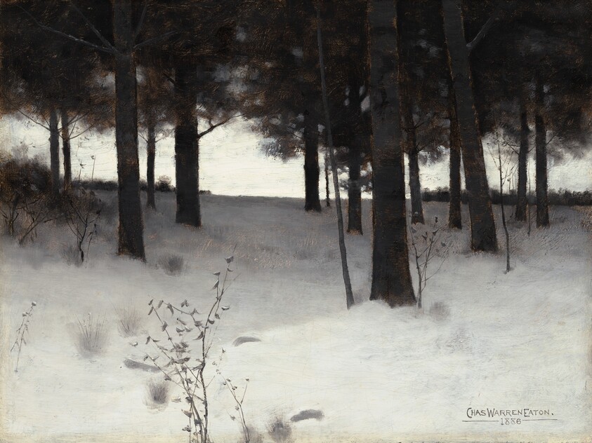 Woods in Winter