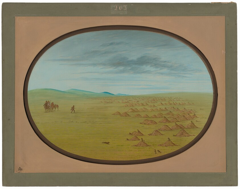 Prairie Dog Village