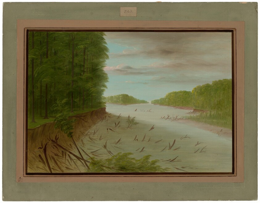 Scene from the Lower Mississippi