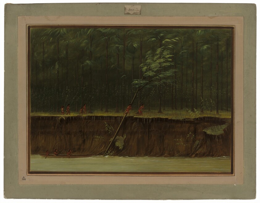 View of the Lower Mississippi