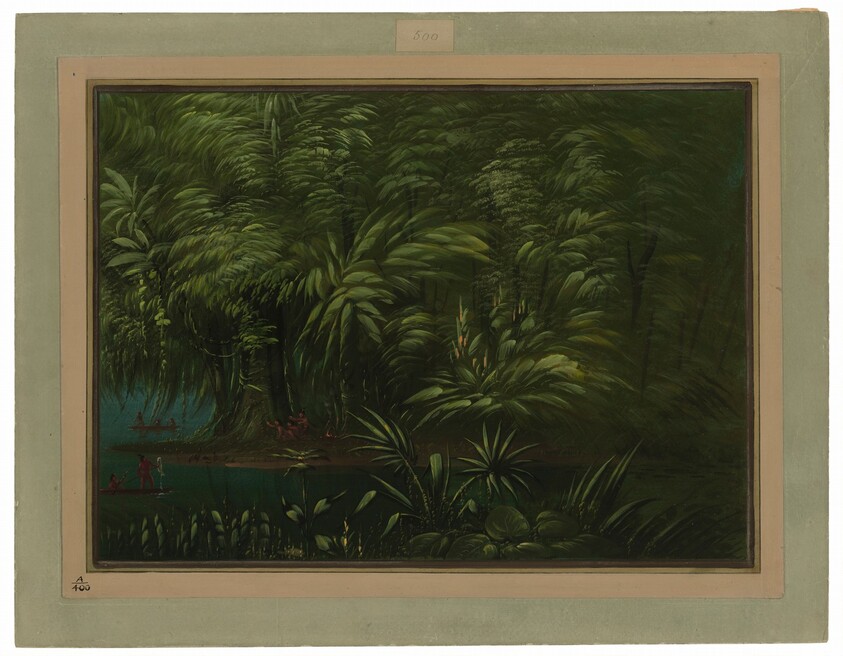 Luxuriant Forest on the Bank of the Amazon
