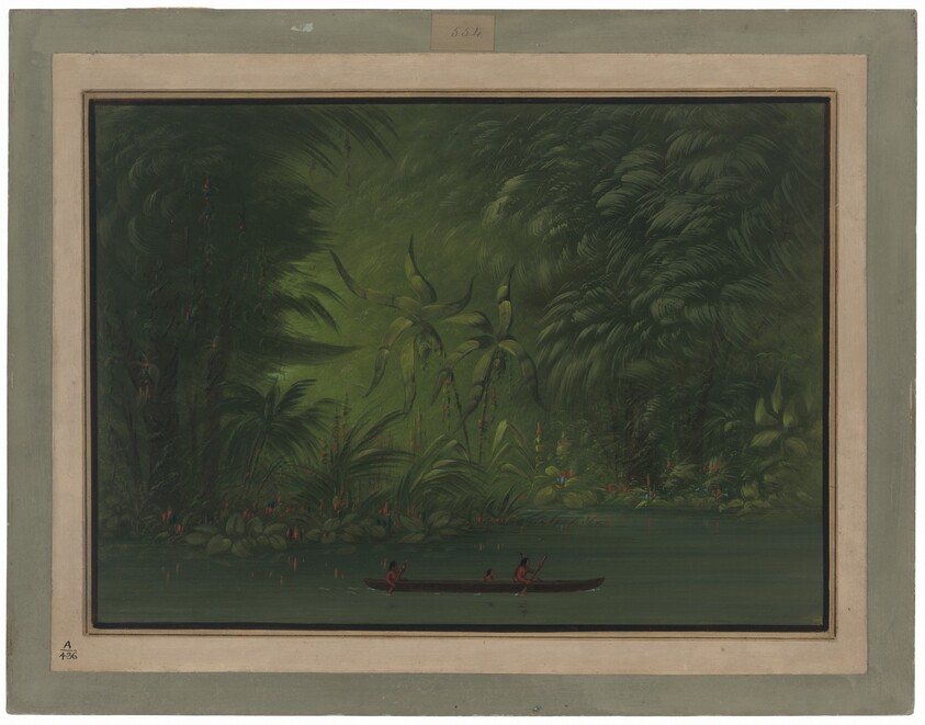 Entrance to a Lagoon, Shore of the Amazon