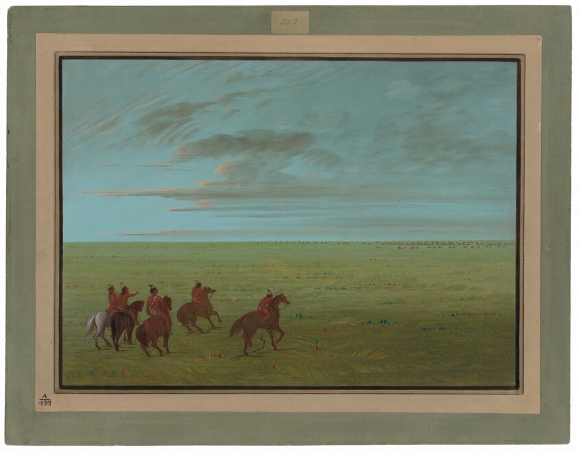 Connibos Starting for Wild Horses