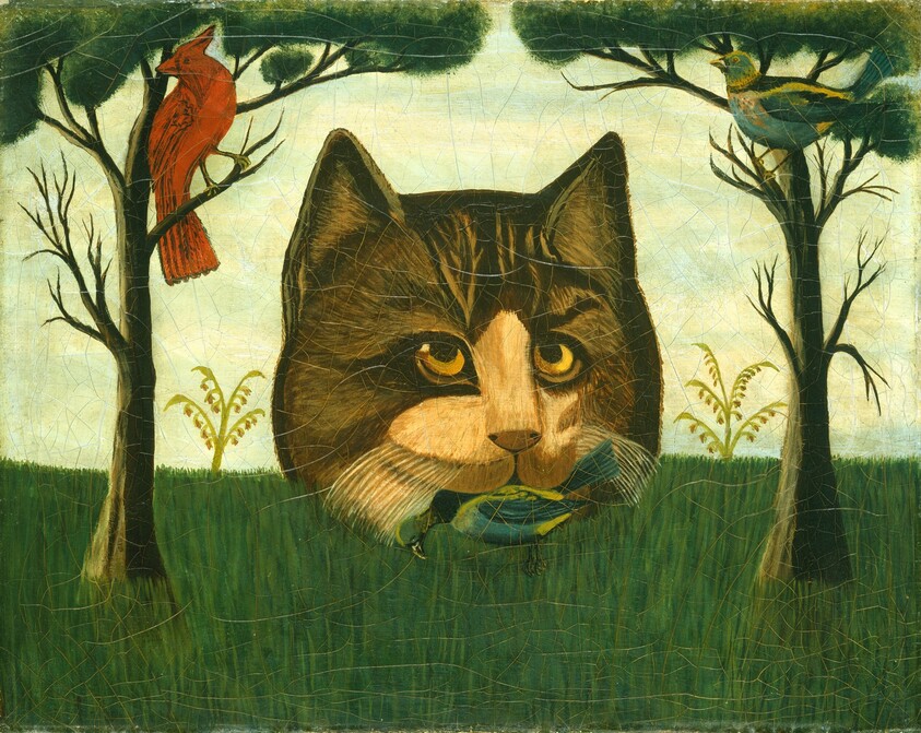 The Cat