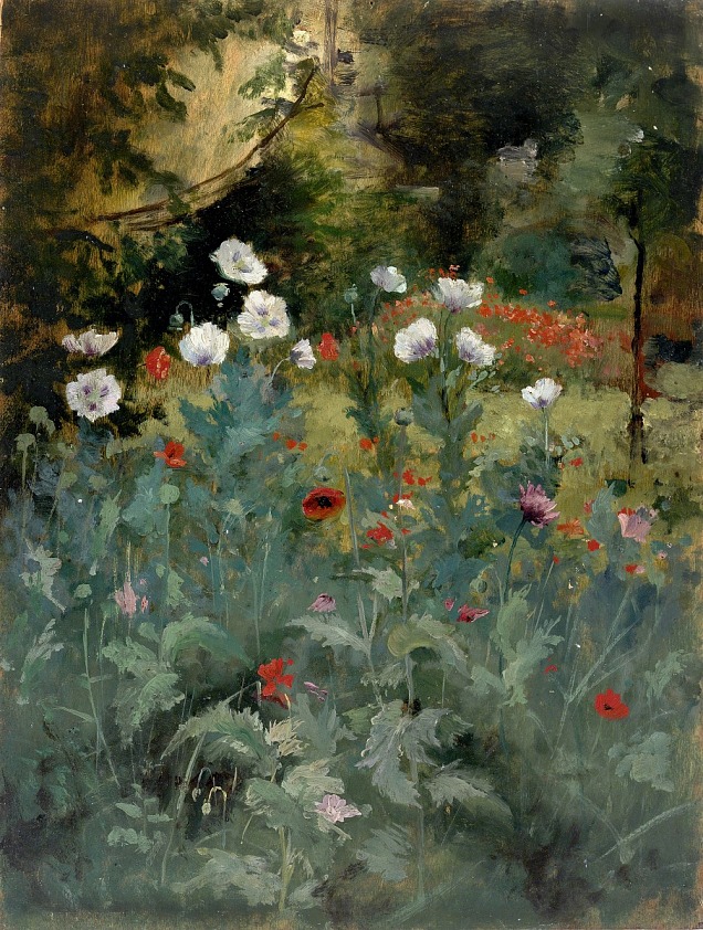 Poppies