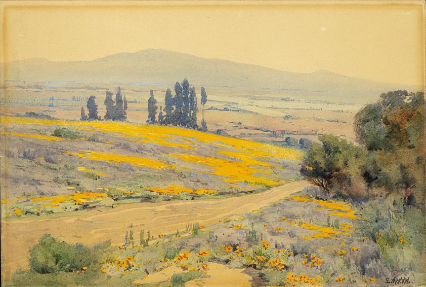 カリフォルニアの春の風景
