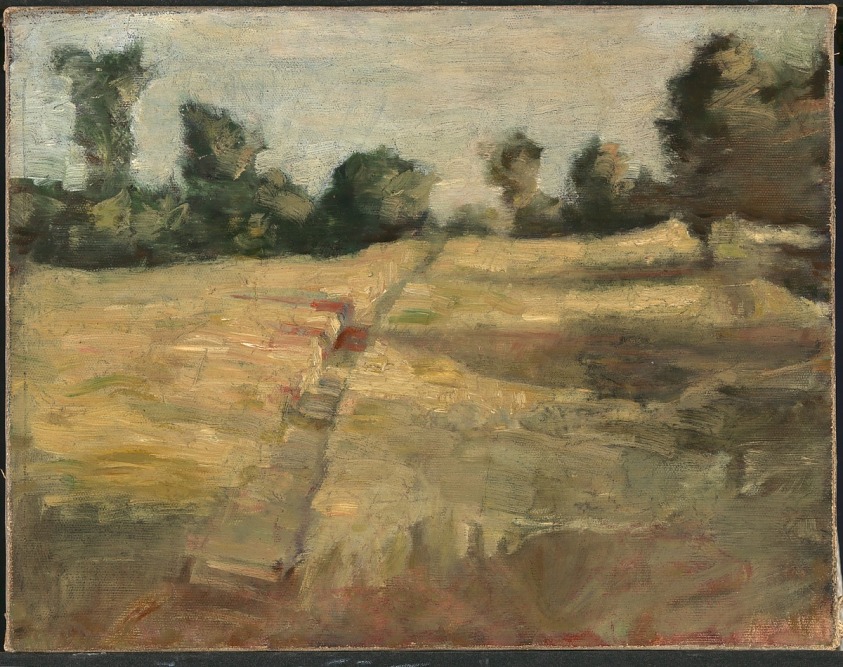 The Field
