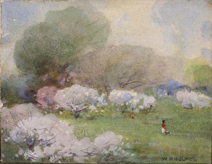 桜