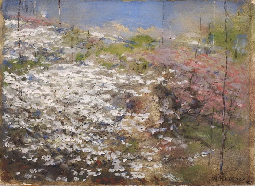 花の野