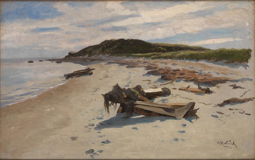 ケープコッドの浜辺