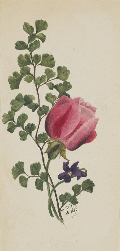 ピンクの薔薇とスミレ