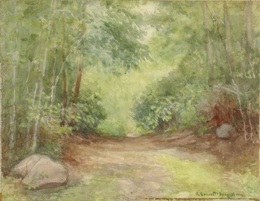 無題（森の風景）