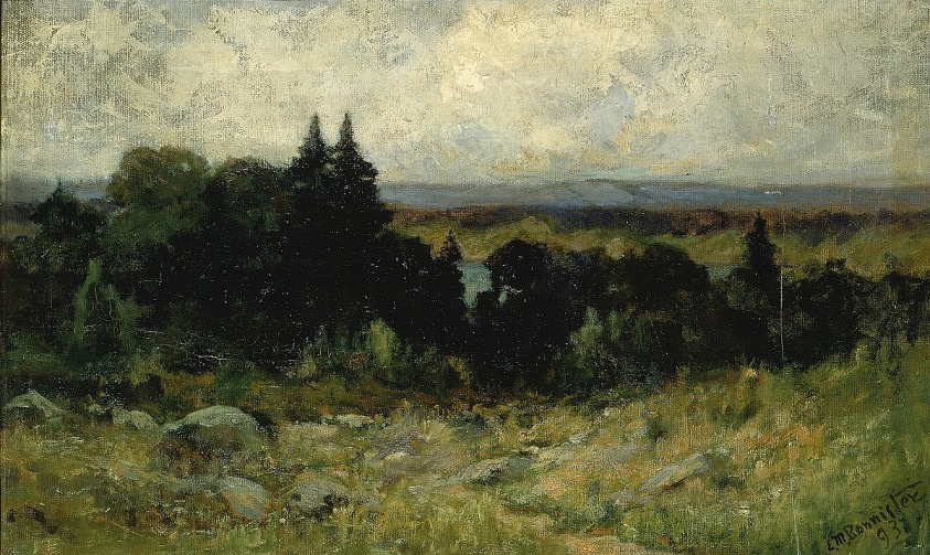 Untitled (landscape, fields with rocks and trees)