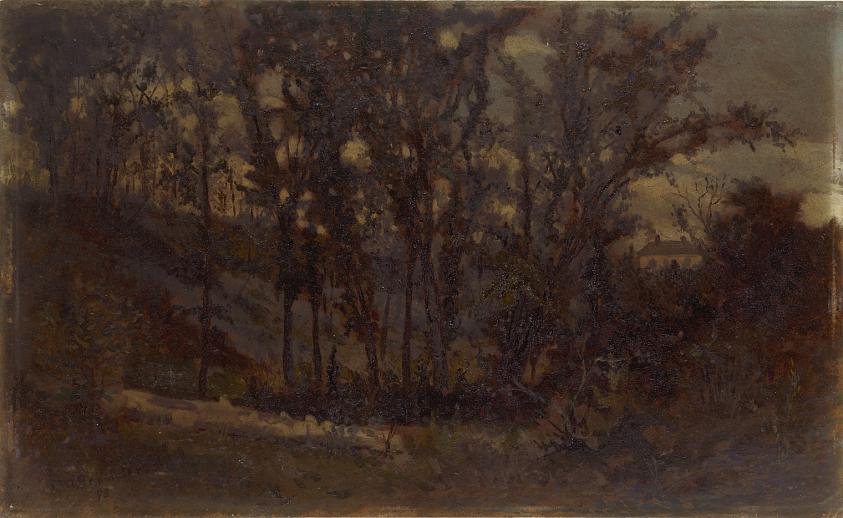 Untitled (forest scene, fallen tree in foreground and house in background)