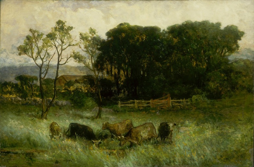 Untitled (five cows in pasture)