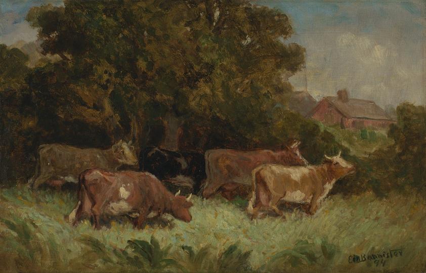 Untitled (five cows in pasture, rooftop in background)