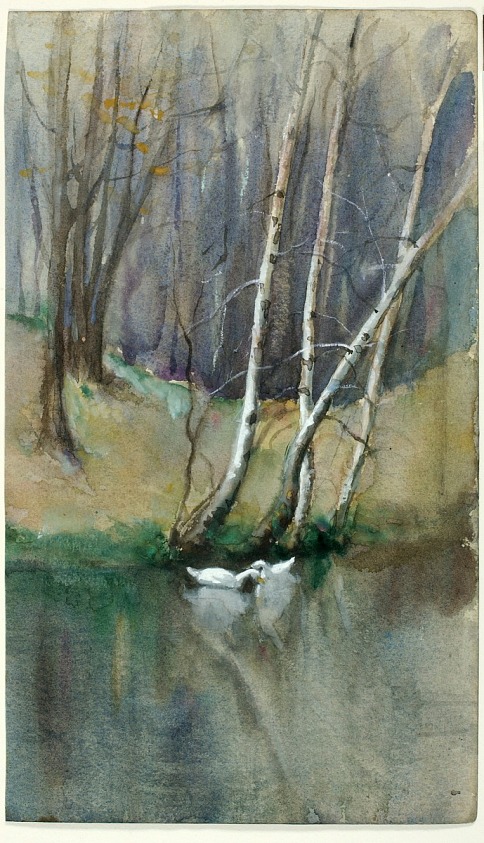Untitled (Wood Scene with Birch Trees and Ducks)