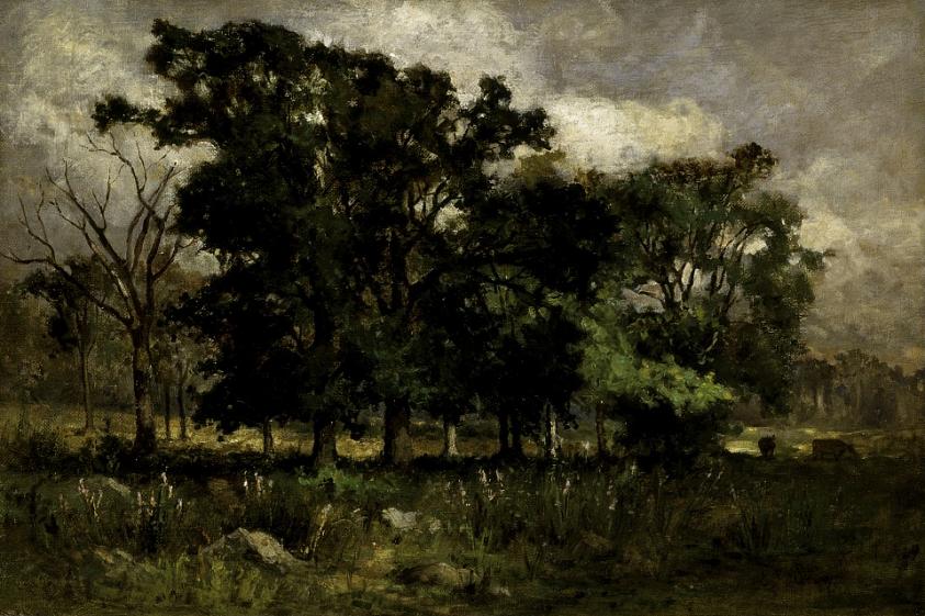 Tree Landscape
