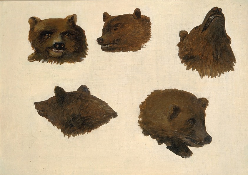 写生による二頭のハイイログマの肖像